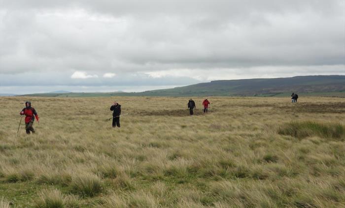 Moor and mountain
